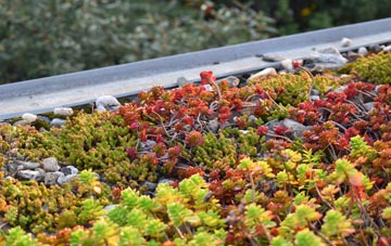 the cost of St Georges Hill green roof installation