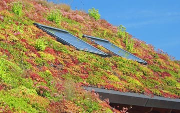 St Georges Hill living roof systems